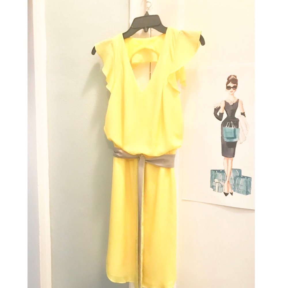 Jessica Simpson Ruffle Sleeve Dress 2 - Picture 3 of 3
